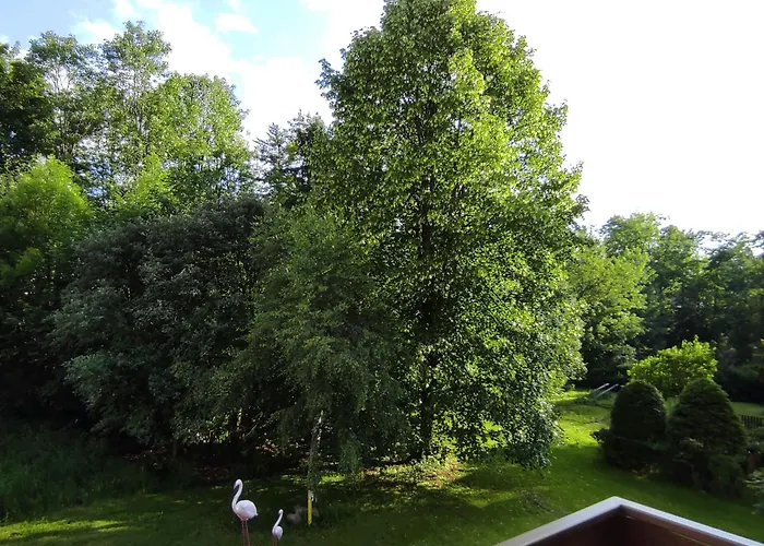 Apartament Fantazja W Zakopanem